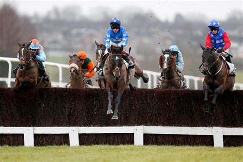 leicester horse racing results today.